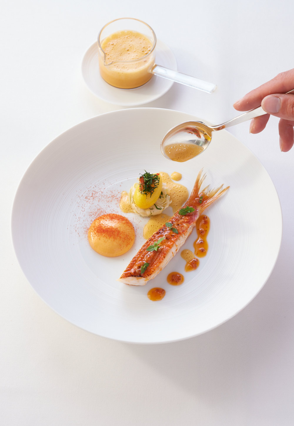 Kunstvoll angerichtete Felsenrotbarbe auf einem flachen Teller