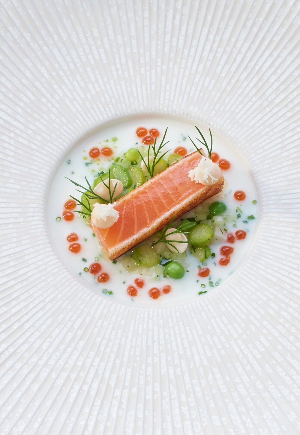 Salmon elegantly arranged on a flat plate